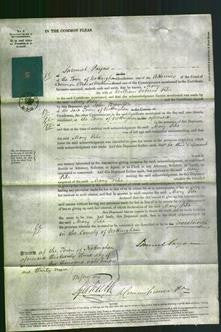 Court of Common Pleas - Mary Pike-Original Ancestry