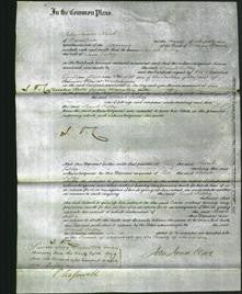 Court of Common Pleas - Sarah Filbey-Original Ancestry