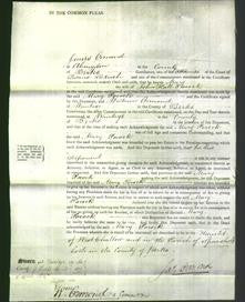 Court of Common Pleas - Mary Pocock-Original Ancestry