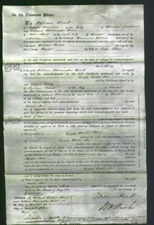 Court of Common Pleas - Rachel Stone-Original Ancestry