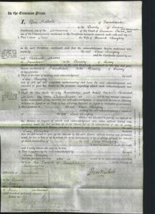 Court of Common Pleas - Jane Beagley-Original Ancestry