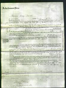 Court of Common Pleas - Mary Benson-Original Ancestry