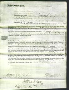 Court of Common Pleas - Caroline Nixon-Original Ancestry