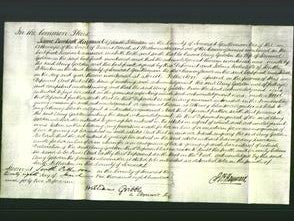 Court of Common Pleas - Amy Godden-Original Ancestry