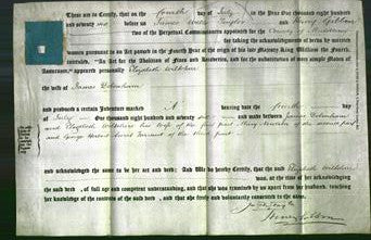 Deed by Married Women - Elizabeth Wiltshire Debenham-Original Ancestry