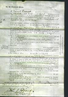 Court of Common Pleas - Ann Burton and Elizabeth Stooke-Original Ancestry