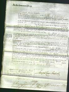 Court of Common Pleas - Jane Davies-Original Ancestry