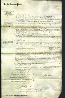 Court of Common Pleas - Zoar Chenery-Original Ancestry