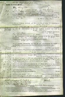 Court of Common Pleas - Ann Evans-Original Ancestry