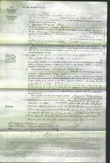 Court of Common Pleas - Margaret Eliza Gibson-Original Ancestry
