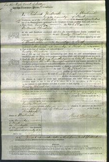 Court of Common Pleas - Emily Cheshire-Original Ancestry