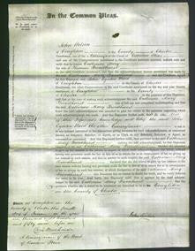 Court of Common Pleas - Catherine Mary Broadhurst-Original Ancestry