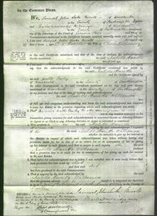 Court of Common Pleas - Isabella Henrietta Williamson-Original Ancestry