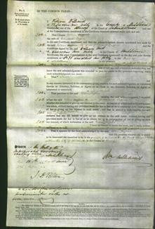 Court of Common Pleas - Ellen Caffin-Original Ancestry