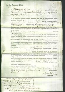 Court of Common Pleas - Sarah Mortimer-Original Ancestry