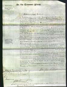 Court of Common Pleas - Mary Penfold-Original Ancestry