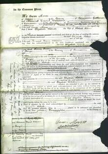 Court of Common Pleas - Elizabeth Roberts-Original Ancestry