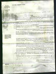 Court of Common Pleas - Martha Alexander-Original Ancestry