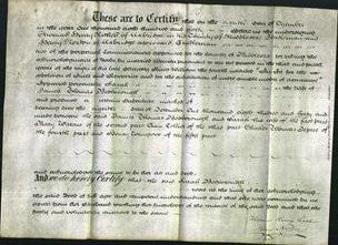 Deed by Married Women - Sarah Bedborough-Original Ancestry