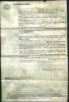 Court of Common Pleas - Anne Snell-Original Ancestry