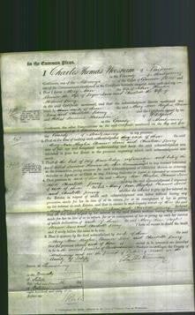 Court of Common Pleas - Mary Ann Hughes, Eleanor Jones and Charlotte Parry-Original Ancestry