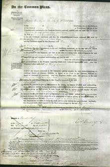 Court of Common Pleas - Elizabeth Jones and Jane Fish-Original Ancestry