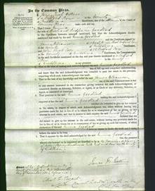 Court of Common Pleas - Emma Goodlad-Original Ancestry