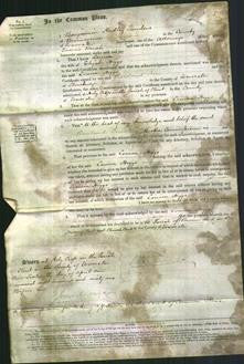 Court of Common Pleas - Louisa Higgs-Original Ancestry