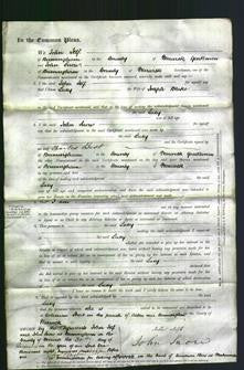 Court of Common Pleas - Lucy Blake-Original Ancestry