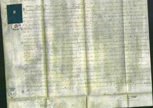 Court of Common Pleas - Elizabeth Benton-Original Ancestry