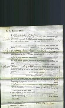 Court of Common Pleas - Maria Halsted France-Hayhurst-Original Ancestry