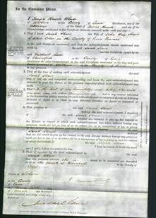 Court of Common Pleas - Sarah Shave-Original Ancestry