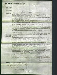 Court of Common Pleas - Maria Philpotts-Original Ancestry