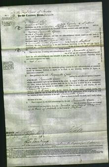 Court of Common Pleas - Jeannette Green-Original Ancestry