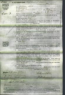 Court of Common Pleas - Ann Brewitt-Original Ancestry