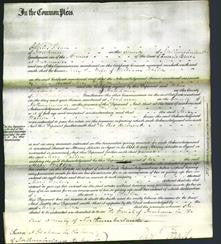 Court of Common Pleas - Mary Walton-Original Ancestry