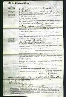 Court of Common Pleas - Jane Watson-Original Ancestry
