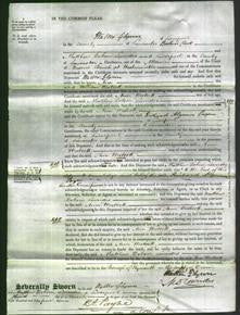 Court of Common Pleas - Ann Westcott-Original Ancestry