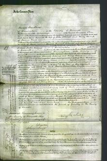 Court of Common Pleas - Hannah Soleviol and Mary Jervis-Original Ancestry