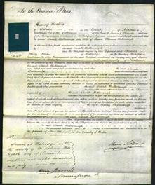 Court of Common Pleas - Sarah Bedborough-Original Ancestry