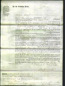 Court of Common Pleas - Mary Anne Evans-Original Ancestry