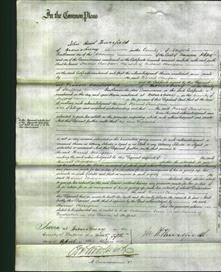 Court of Common Pleas - Harriet Thompson-Original Ancestry