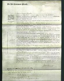 Court of Common Pleas - Mary Steward-Original Ancestry