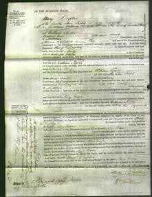 Court of Common Pleas - Mary Nixon-Original Ancestry