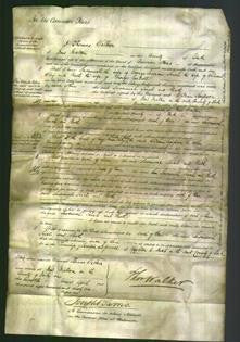 Court of Common Pleas - Susannah Jennan, Sarah Wray and Ruth Garbatt-Original Ancestry