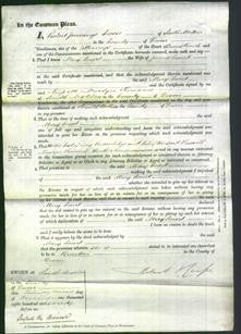 Court of Common Pleas - Mary Court-Original Ancestry