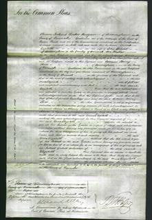 Court of Common Pleas - Anne Elizabeth Palmer-Original Ancestry