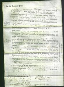 Court of Common Pleas - Peninnah Perkins, Ellen Critchley and Mary Anne Mansfield-Original Ancestry