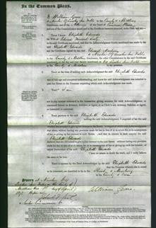 Court of Common Pleas - Elizabeth Edwards Sealy-Original Ancestry