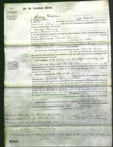 Court of Common Pleas - Elizabeth Tyley-Original Ancestry